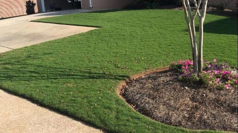 Tips On Starting and Growing Your Lawn