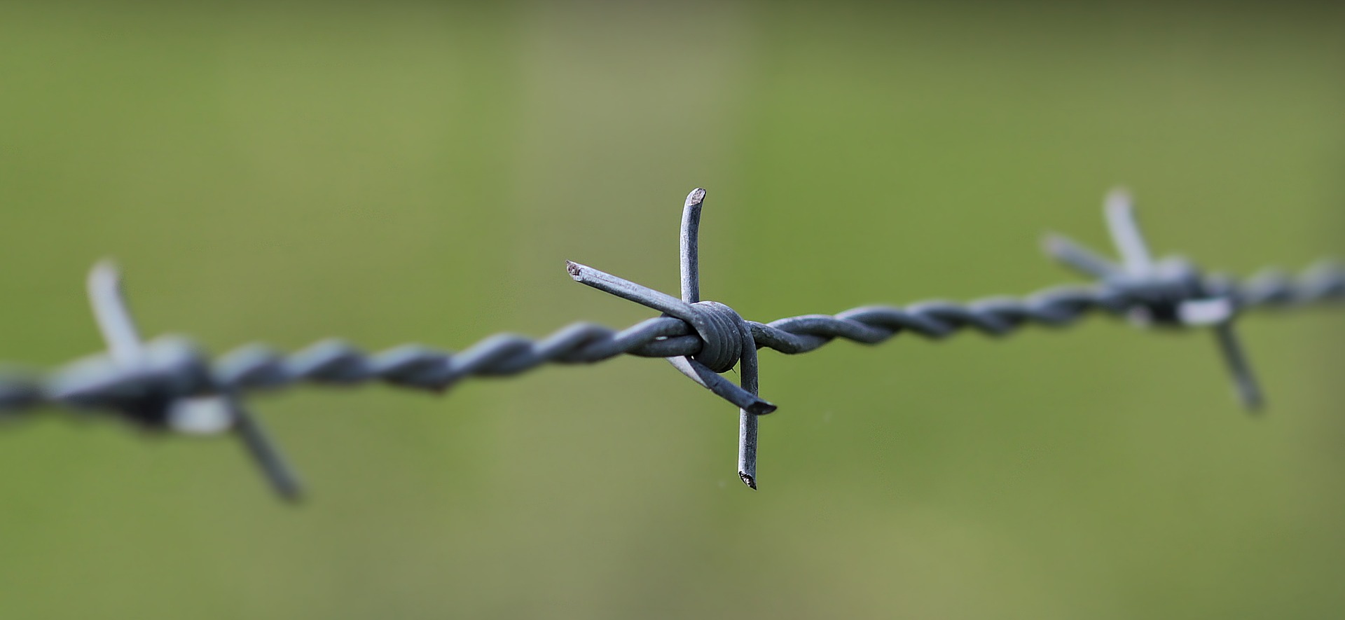 ranch fence