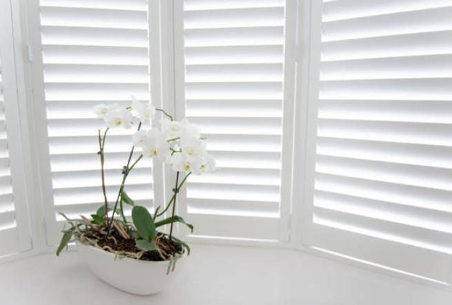Shutters